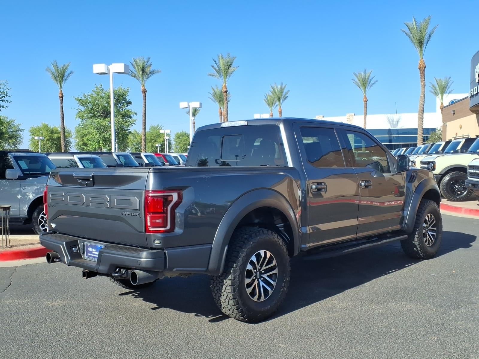 2019 Ford F-150 Raptor