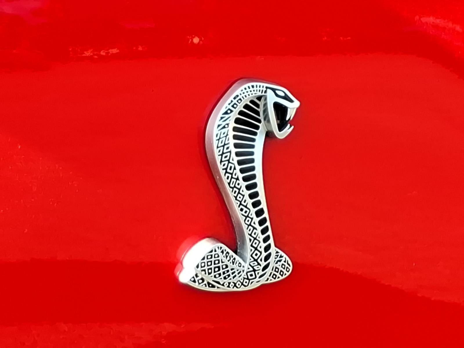 2011 Ford Shelby GT500 Base