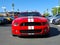2011 Ford Shelby GT500 Base